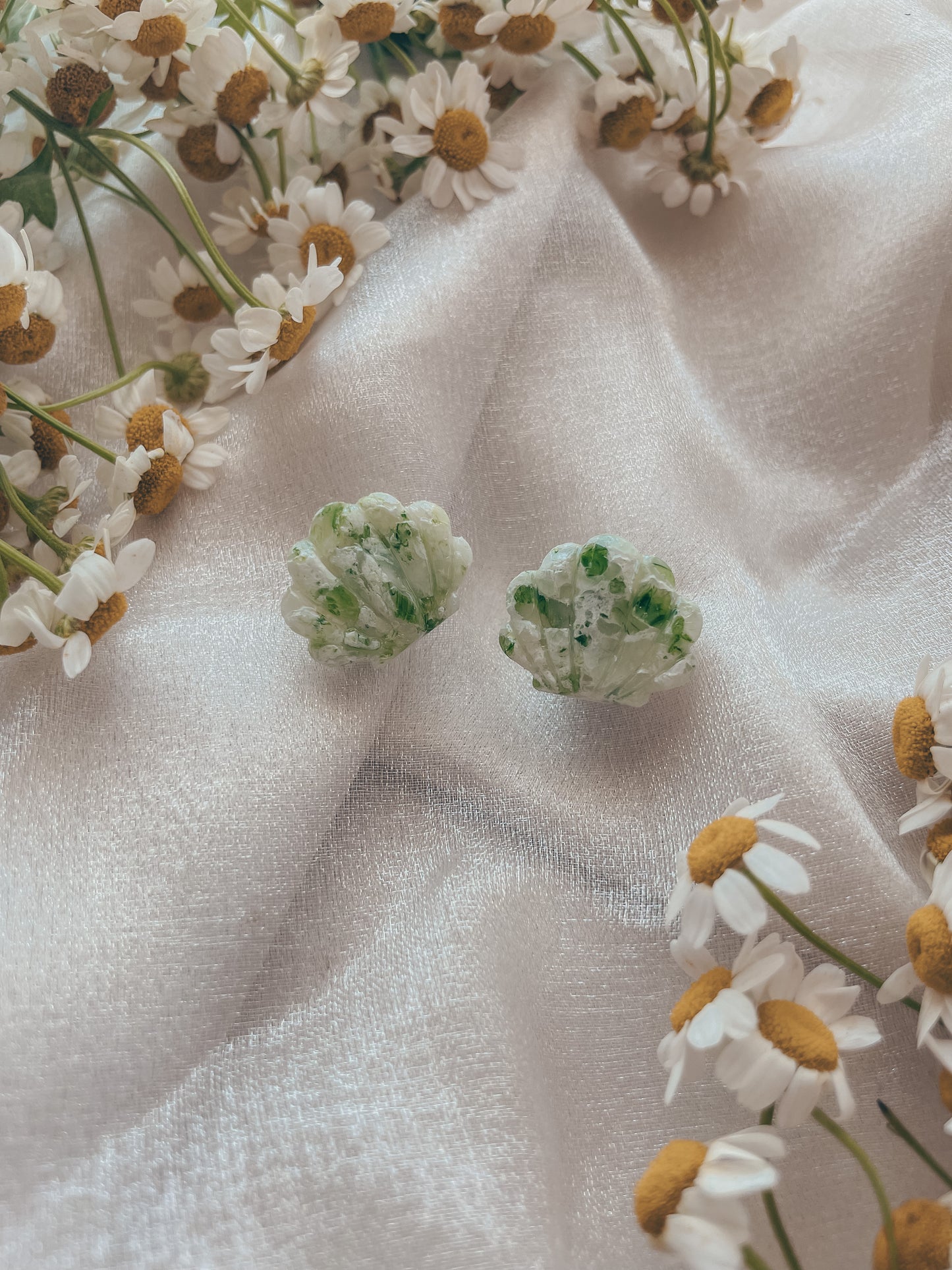 The Coastal Dreamin' Seashell Clam Studs